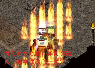 �������ֱؿ�����ο������Ų����պ����淨��