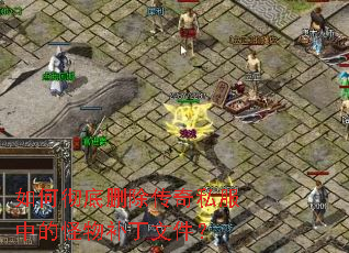 ��γ���ɾ������˽���еĹ��ﲹ���ļ���