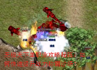 无极天下单职业攻略秘籍:如何快速提升战力称霸沙场? 无极天下单职业攻略秘籍:如何快速提升战力称霸沙场?