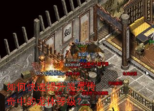 如何快速提升魔灵传奇中的龙体等级? 如何快速提升魔灵传奇中的龙体等级?