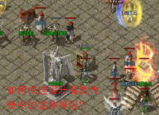 如何快速提升魔灵传奇中的龙体等级? 如何快速提升魔灵传奇中的龙体等级?