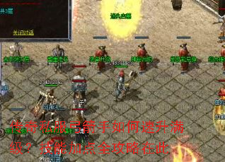 ����˽������������������������ܼӵ�ȫ�����ڴ�