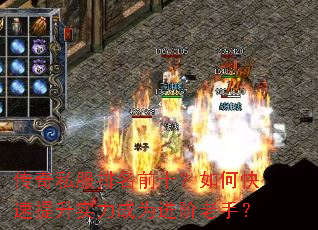 ����˽������ǰʮ����ο�������ʵ����Ϊ�������֣�