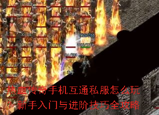 ��Ѫ�����ֻ���ͨ˽����ô�棿������������׼���ȫ����