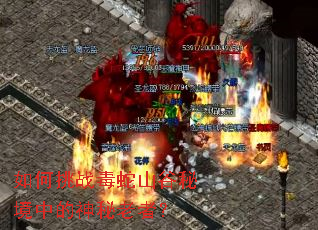 如何挑战毒蛇山谷秘境中的神秘老者? 如何挑战毒蛇山谷秘境中的神秘老者?