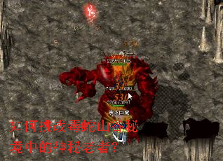 如何挑战毒蛇山谷秘境中的神秘老者? 如何挑战毒蛇山谷秘境中的神秘老者?