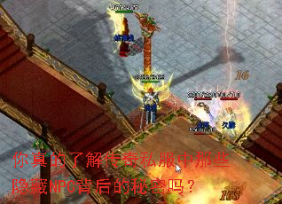 ������˽⴫��˽������Щ����NPC�����������