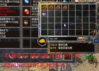 ������˽⴫��˽������Щ����NPC�����������