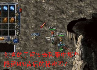 ������˽⴫��˽������Щ����NPC�����������