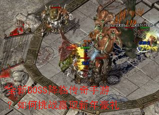 ȫ��BOSS���ٴ������Σ������սӮȡ�������