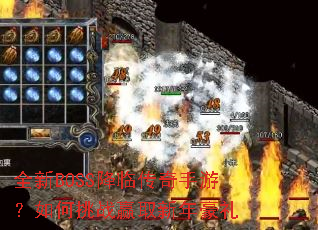 ȫ��BOSS���ٴ������Σ������սӮȡ�������