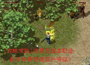 [��������]Ч�������ְҵ��������ο��������ȼ���