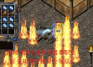 [��������]Ч�������ְҵ��������ο��������ȼ���