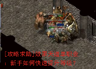 [��������]Ч�������ְҵ��������ο��������ȼ���