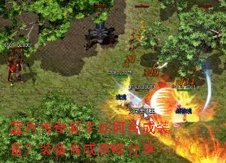 ���´���������κϳ�װ����װ���ϳɹ��Է���