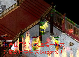 ����������ο�������ս����������Ҷ����ؼ��󹫿�