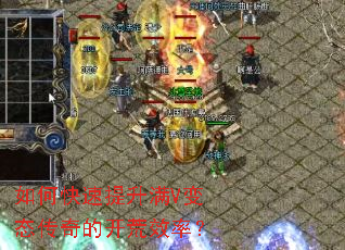 ��ο���������V��̬����Ŀ���Ч�ʣ�