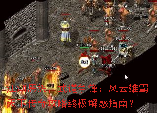 江湖恩怨,武道争锋:风云雄霸天下传奇攻略终极解惑指南? 江湖恩怨,武道争锋:风云雄霸天下传奇攻略终极解惑指南?