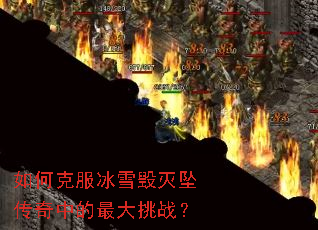 ��ο˷���ѩ����׹�����е������ս��