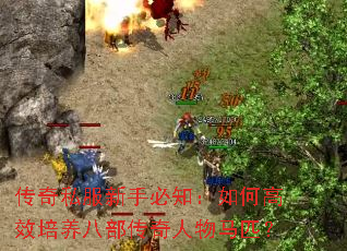 ����˽�����ֱ�֪����θ�Ч�����˲�����������ƥ��