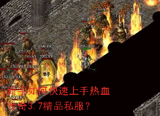 ������ο���������Ѫ����3.7��Ʒ˽����