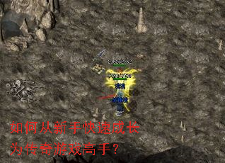 ��δ����ֿ��ٳɳ�Ϊ������Ϸ���֣�