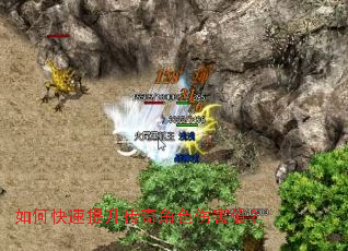 ��ο������������ɫ�˺�ֵ��