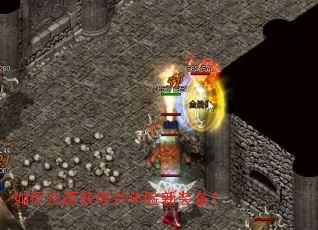 ��ο��ٻ�ò�������װ����