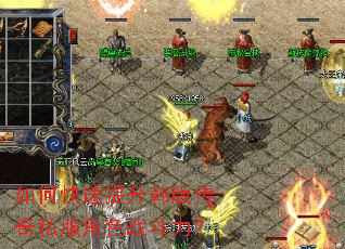 ��ο����������洫��˽����ɫս������