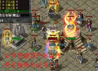 ��ο����������洫��˽����ɫս������