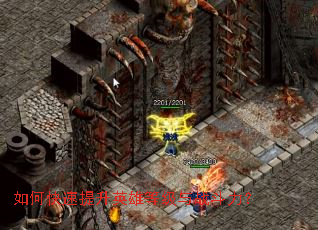 ��ο�������Ӣ�۵ȼ���ս������