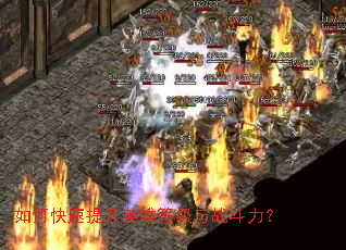 ��ο�������Ӣ�۵ȼ���ս������