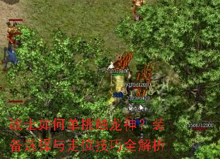 սʿ��ε���������װ��ѡ������λ����ȫ����