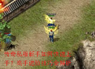 ����˽��������ο������֣����ֽ��׼���ȫ����