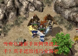 ����˽��������ο������֣����ֽ��׼���ȫ����