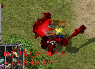 �������������Щ��Ϊ��֪�Ĵ��漼�ɣ�