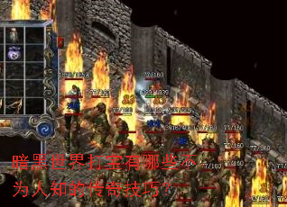 �������������Щ��Ϊ��֪�Ĵ��漼�ɣ�