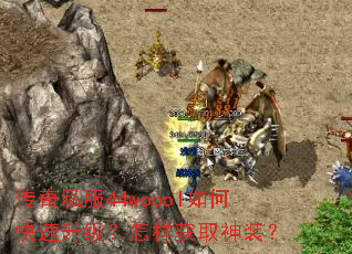 ����˽��44woool��ο���������������ȡ��װ��