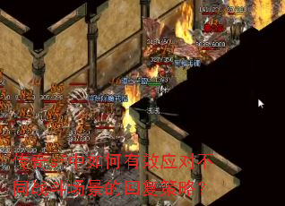 ����sf�������ЧӦ�Բ�ͬս�������Ļظ����ԣ�