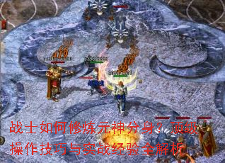 սʿ�������Ԫ���������������������ʵս����ȫ����