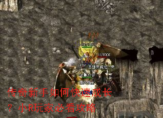 ����������ο��ٳɳ���СR��ұؿ�����