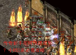 ����������ο��ٳɳ���СR��ұؿ�����