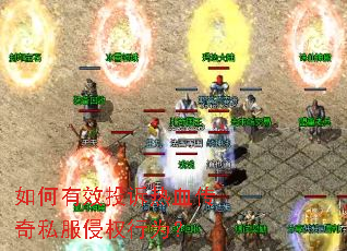 �����ЧͶ����Ѫ����˽����Ȩ��Ϊ��