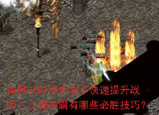�����BT������ӿ�������ս����ɳ����������Щ��ʤ���ɣ�