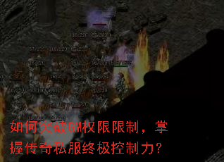 ���ͻ��GMȨ�����ƣ����մ���˽���ռ���������