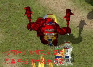 ����PK�������������Ұ����ײ��϶��ּ��ܣ�