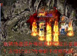 ��ο��������ȼ�����ü�Ʒװ���������Ԫ37�������ֹ���ָ��