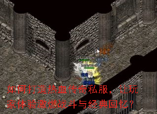 ��δ�����Ѫ����˽������������鼤ȼս���뾭����䣿