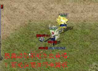 ��Ѫս����ë��ô��ã���ë��ȡ;��ȫ����