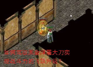 ��μ�Ԧ�ڽ�����ʵ��ս�����ķ�Ծ������